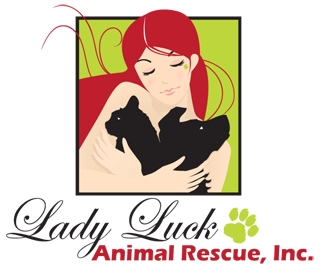 About Us - Lady Luck Animal Rescue