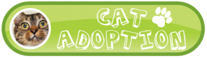 Cat Adoption - Lady Luck Animal Rescue